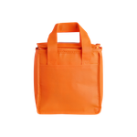 Foto de Bolsa Térmica 7L